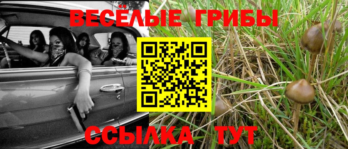 Якутск  Псилоцибиновые грибы Psilocybe  Вход с VPN 