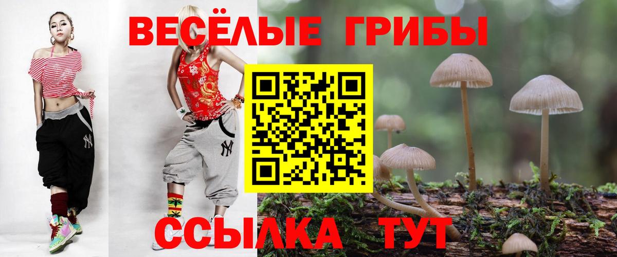 Псилоцибиновые грибы Cubensis Якутск