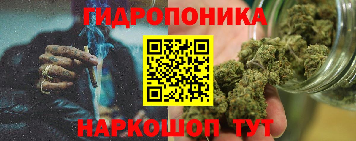 Бошки Шишки семена  Канабис SATIVA & INDICA  Якутск  Вход с VPN  Каннабис AK-47 